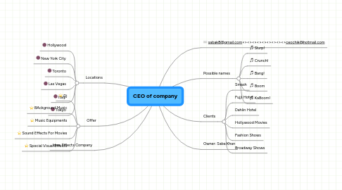 Mind Map: CEO of company