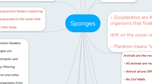 Mind Map: Sponges