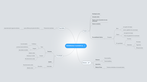 Mind Map: MEMBRANA PLASMÁTICA