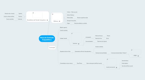 Mind Map: Músculo Estriado Esquelético