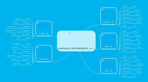 Mind Map: ANIMALES VERTEBRADOS