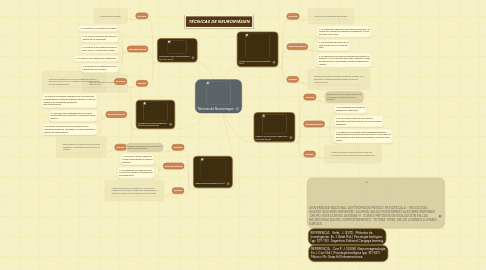 Mind Map: Técnicas de Neuroimagen