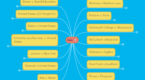 Mind Map: Cases