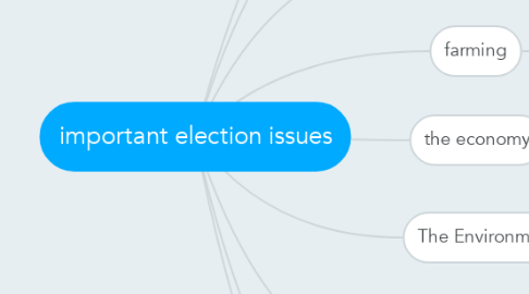 Mind Map: important election issues