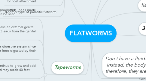 Mind Map: FLATWORMS