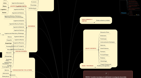 Mind Map: PROGRAMA SEMILLEROS DE INVESTIGACION