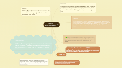 Mind Map: CICLOS BIOGEOQUIMICOS