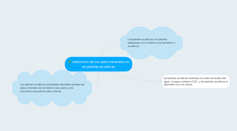 Mind Map: obtención de los sales minerales en las plantas acuaticas