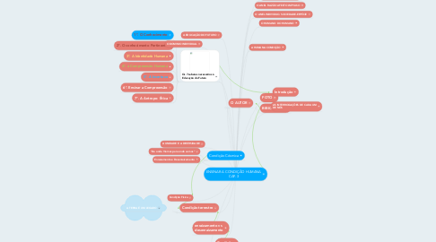 Mind Map: ENSINAR A CONDIÇÃO HUMANA CAP. 3