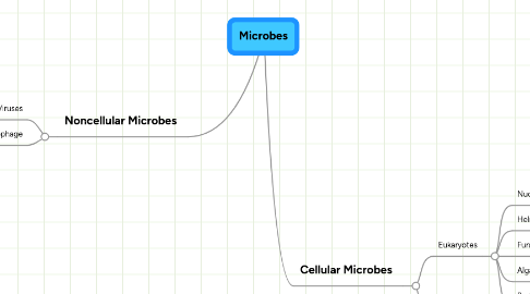 Mind Map: Microbes