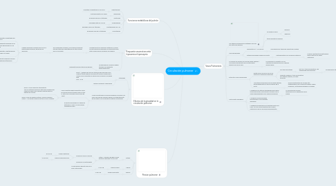 Mind Map: Circulación pulmonar