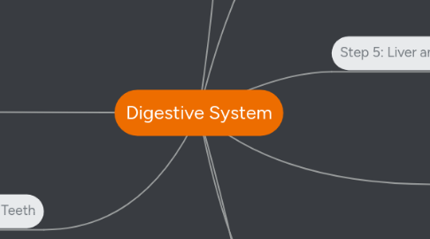 Mind Map: Digestive System