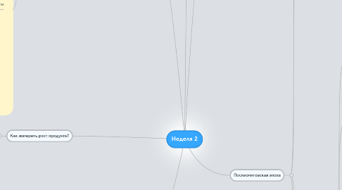 Mind Map: Неделя 2