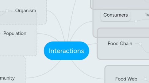 Mind Map: Interactions