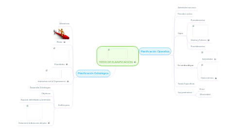 Mind Map: TIPOS DE PLANIFICACIÓN