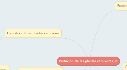Mind Map: Nutricion de las plantas carnivoras