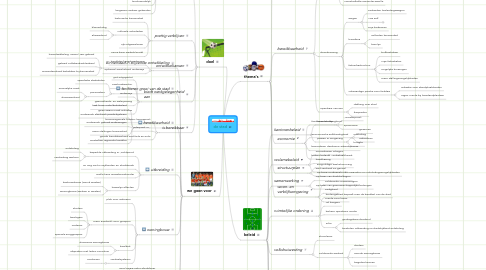 Mind Map: de stad