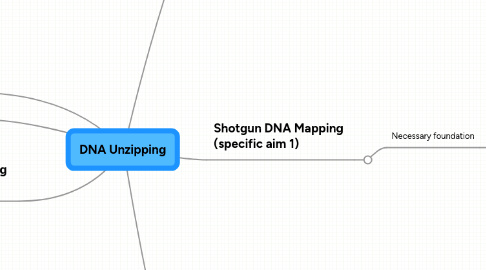 Mind Map: DNA Unzipping