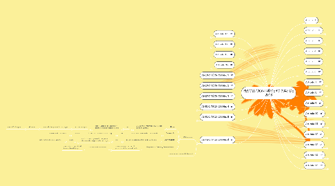 Mind Map: RESOLUCIÓN NÚMERO 3047 DE 2008