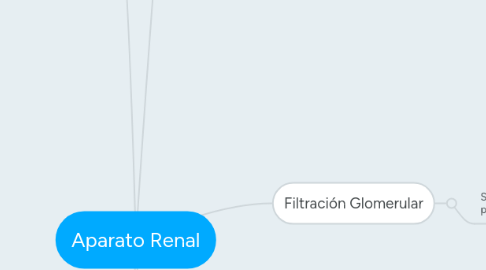 Mind Map: Aparato Renal