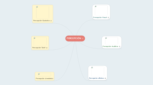 Mind Map: PERCEPCIÓN