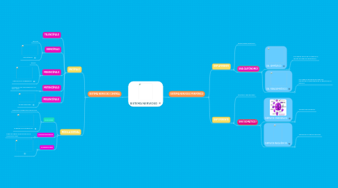 Mind Map: SISTEMA NERVIOSO