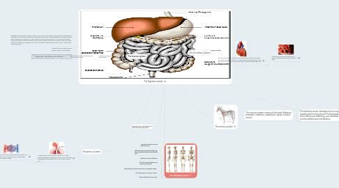 Mind Map: The 6 Systems