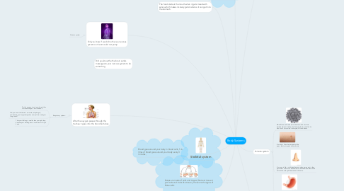Mind Map: Body Systems