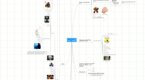 Mind Map: What do Testers do?