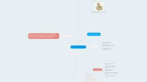 Mind Map: Copy of The Body Systems