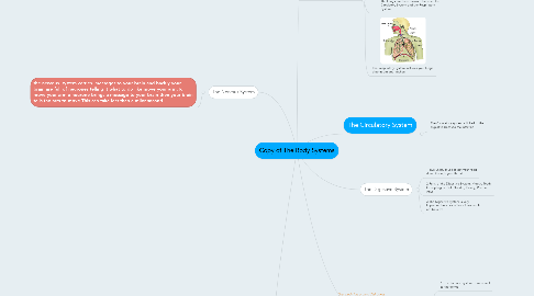 Mind Map: Copy of The Body Systems