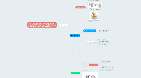 Mind Map: The Body Systems