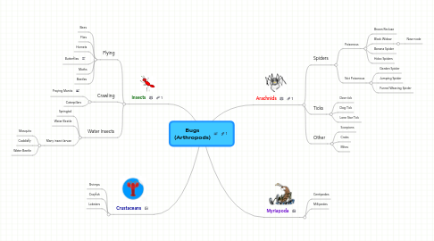 Mind Map: Bugs (Arthropods)