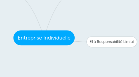 Mind Map: Entreprise Individuelle
