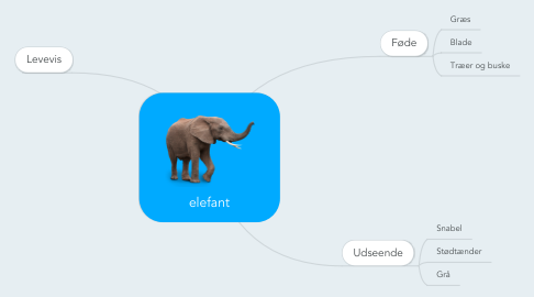 Mind Map: elefant