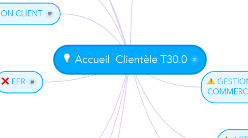 Mind Map: Accueil  Clientèle T30.0