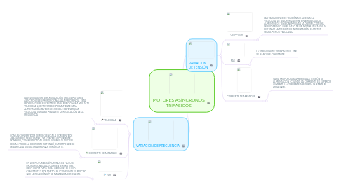 Mind Map: MOTORES ASÍNCRONOS TRIFASICOS