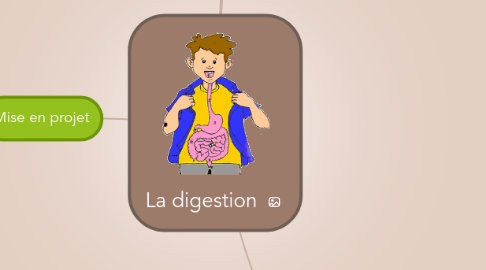 Mind Map: La digestion