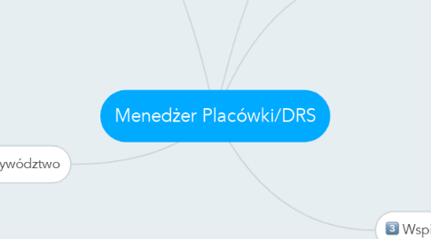 Mind Map: Menedżer Placówki/DRS