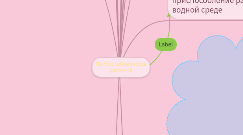 Mind Map: Приспособленность растений