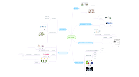 Mind Map: AQA Biology 1