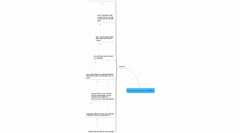 Mind Map: Significant Events Between 2008-2009