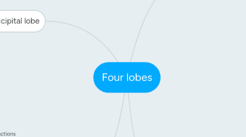 Mind Map: Four lobes