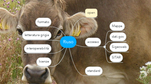 Mind Map: Riuso