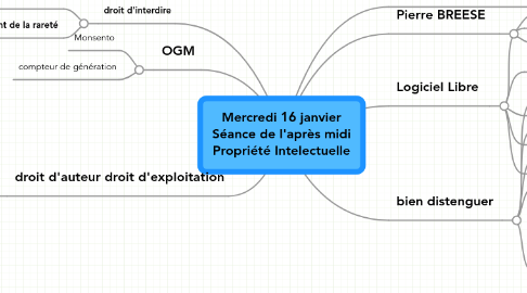 Mind Map: Mercredi 16 janvier Séance de l'après midi Propriété Intelectuelle