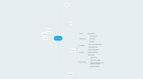 Mind Map: Čajovna