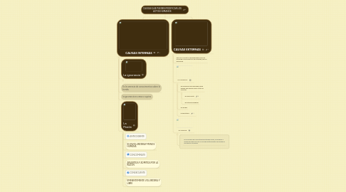 Mind Map: CAUSAS QUE PUEDEN MODIFICAR LOS ACTOS HUMANOS