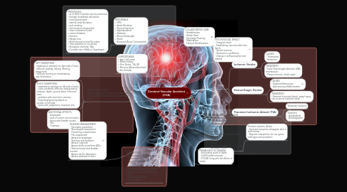 Mind Map: Cerebral Vascular Accident (CVA)