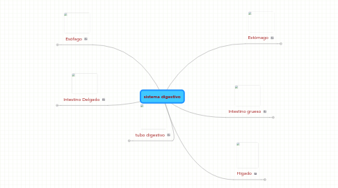 Mind Map: sistema digestivo