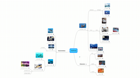 Mind Map: Delfines